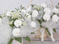 Spring basket