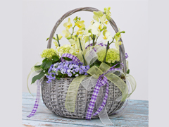 Spring basket