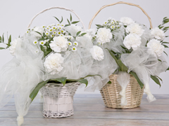 Spring basket