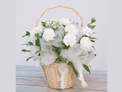 Spring basket