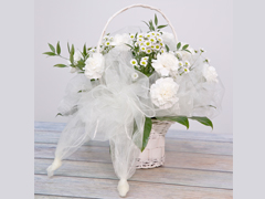 Spring basket
